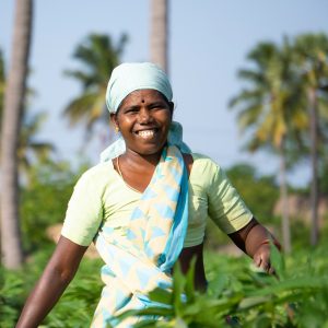 GDF-Agriculture