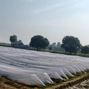 GDF-Agriculture