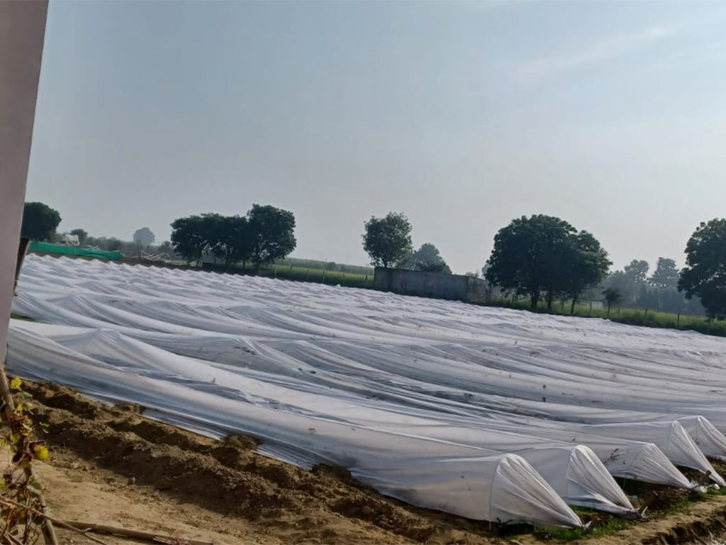 Agriculture